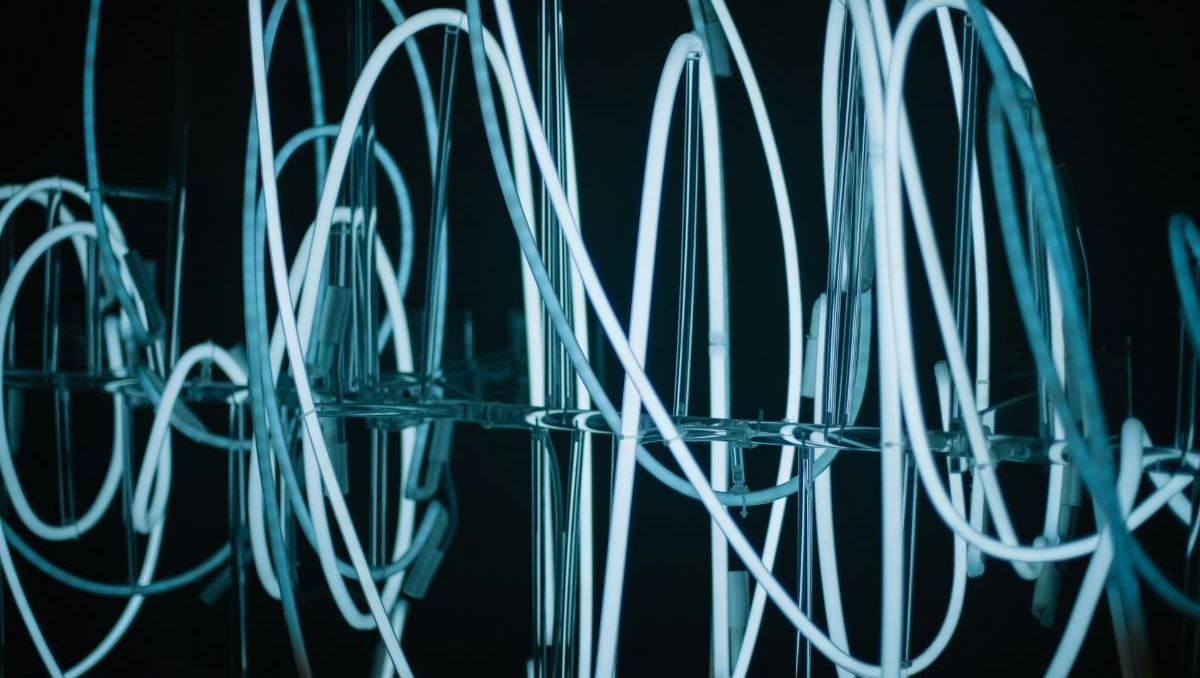 تهريب المخدرات في شاحنات النقل الدولي: تساؤلات مهمة لمهنيي القطاع